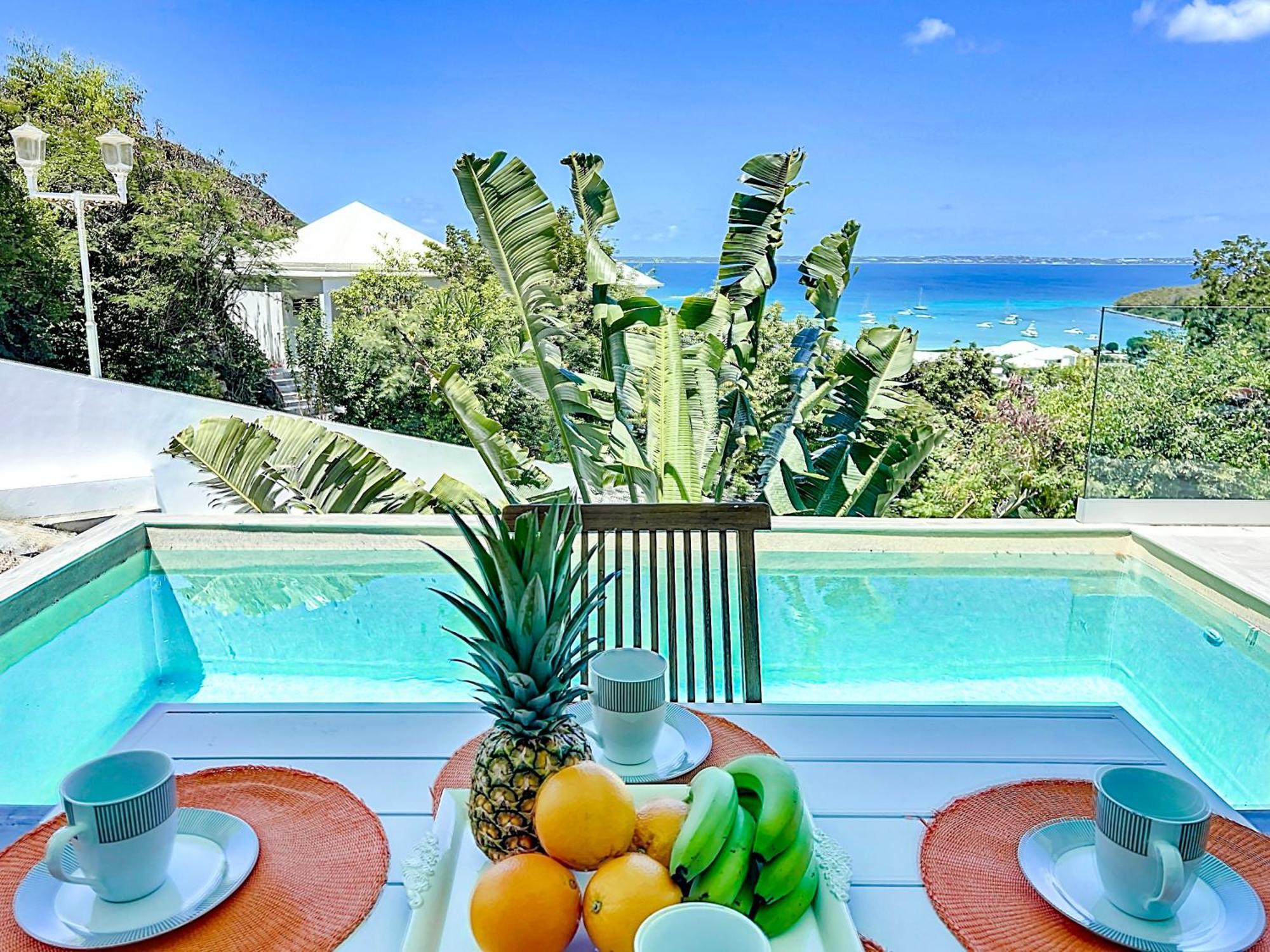 Villa Romane Private Pool Breathtaking Sea View Anse Marcel Exteriér fotografie